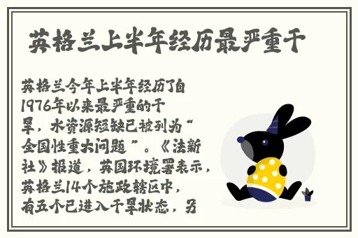 国产无人区码卡2卡三卡四卡